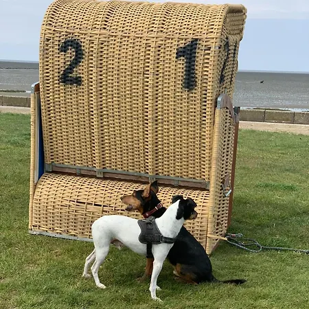 דירה Nordsee Direkt Garten Hallenbad Und Sauna Strandkorb In Der Saison