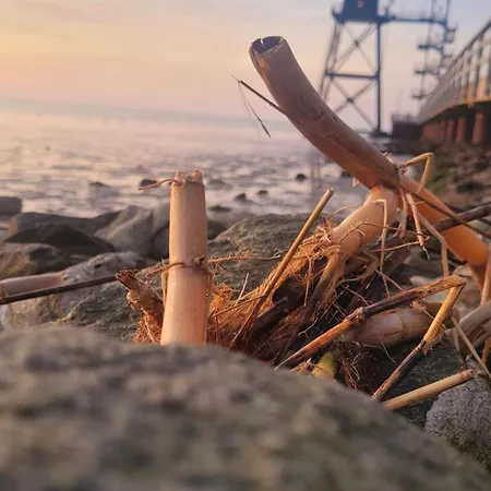 Nordsee Direkt *