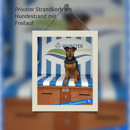 Nordsee Direkt Garten,sauna Hallenbad