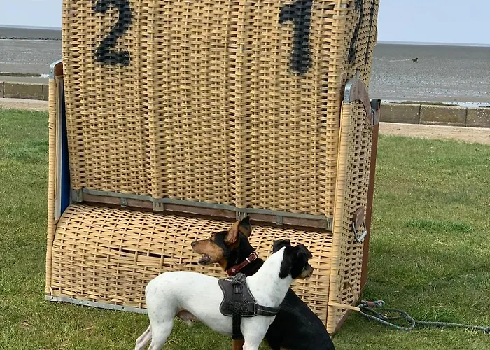 Appartement Nordsee Direkt Garten Hallenbad Und Sauna Strandkorb In Der Saison