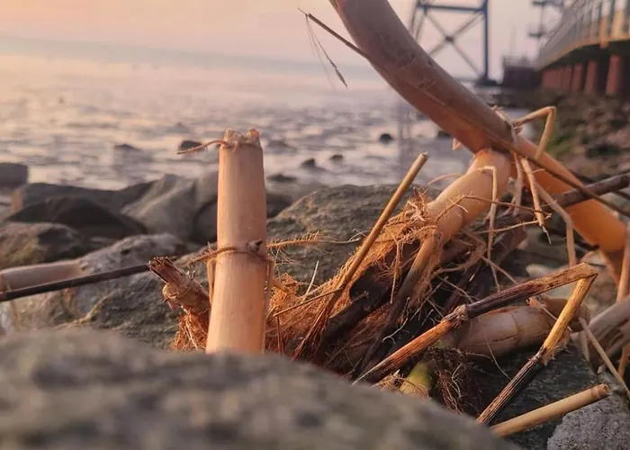 Nordsee Direkt Garten Hallenbad Und Sauna Strandkorb In Der Saison *