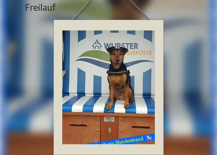 Nordsee Direkt Garten Hallenbad Und Sauna Strandkorb In Der Saison